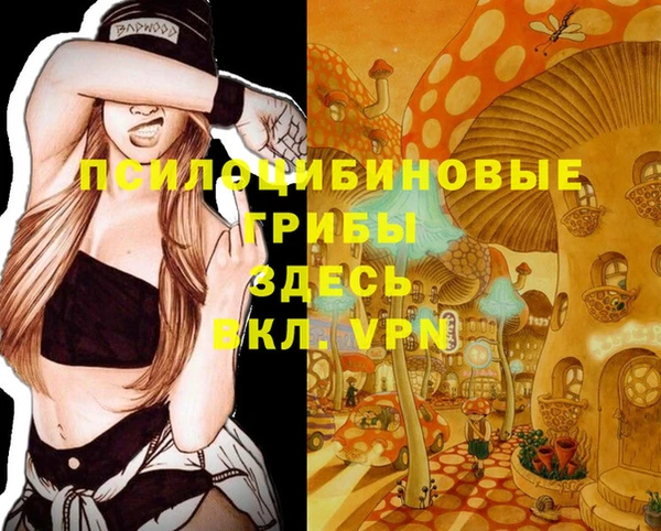Альфа ПВП Кукмор